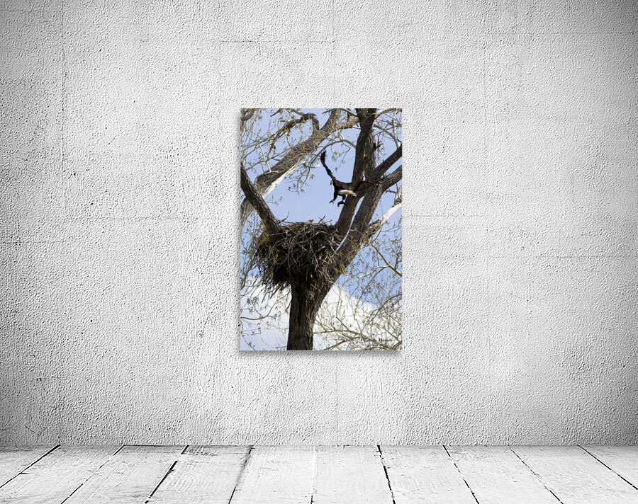 Bringing the Groceries Wall Preview