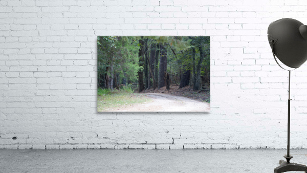 A Country Lane Wall Preview