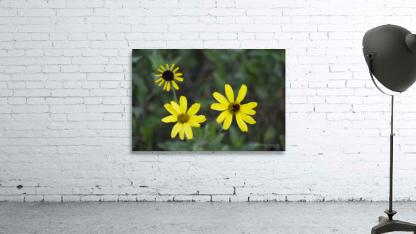 3 Yellow Flowers Wall Preview