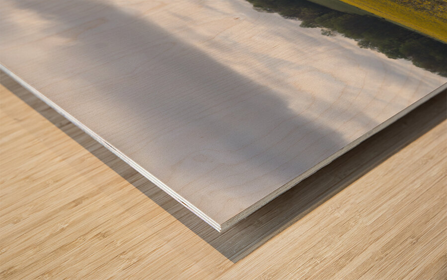 Keith Spring Mtn Valley Wood print