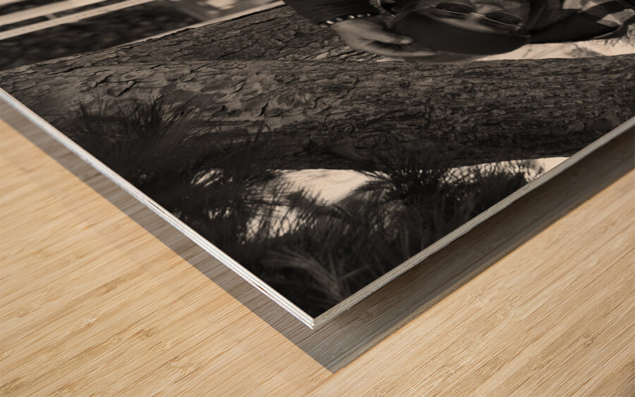 Paco and Tito BW Wood print