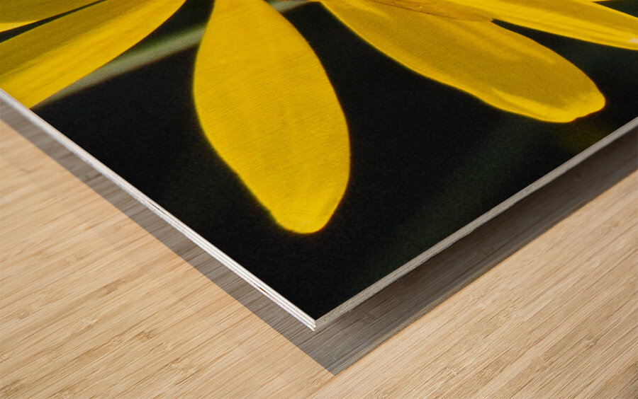 Bee The Flower Impression sur bois