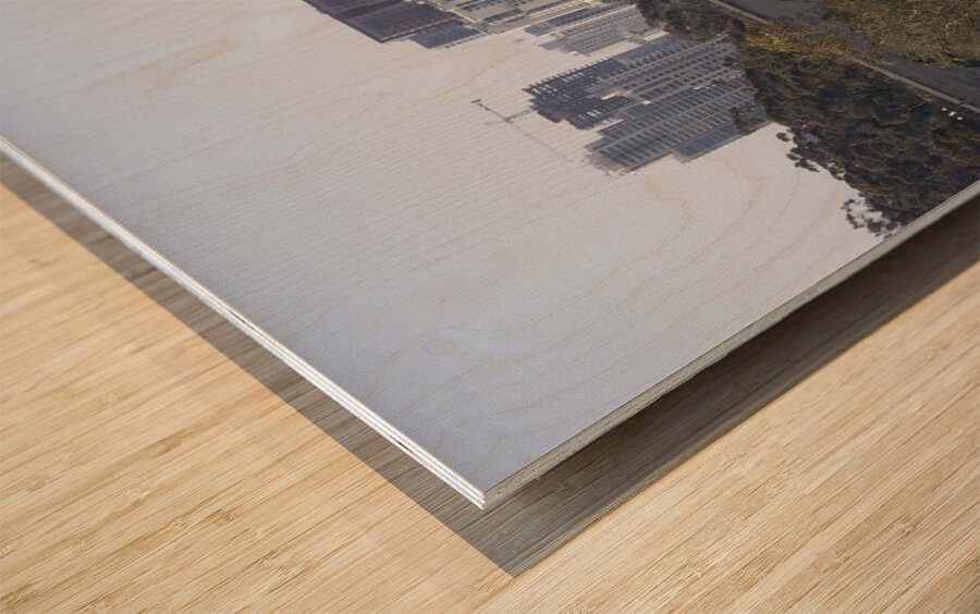 Bridge at the San Diego Zoo Wood print