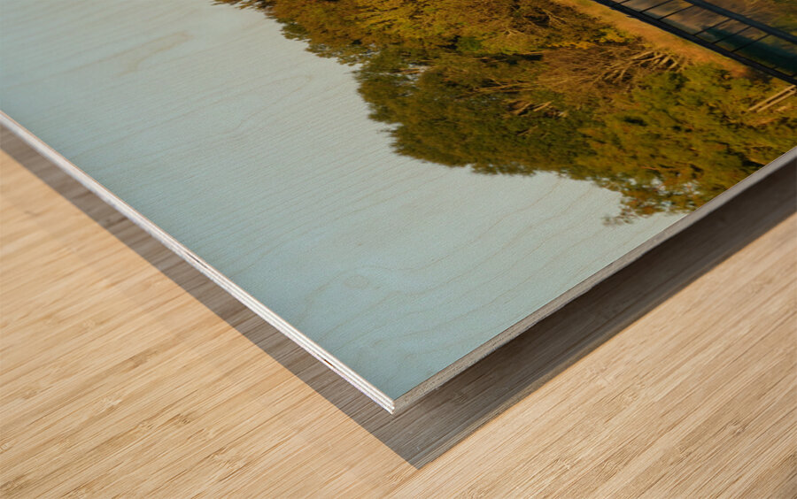 Early Pond Reflection Wood print