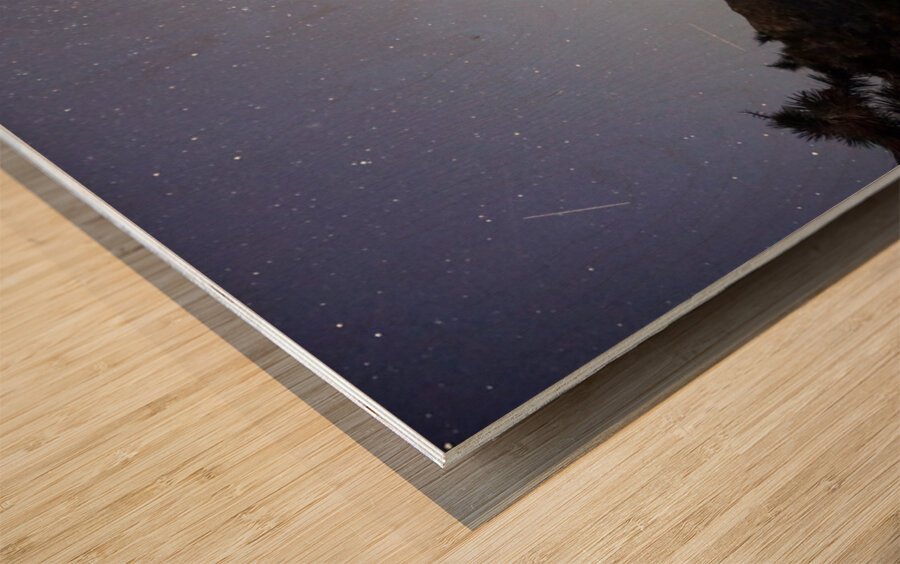 Joshua Tree National Park Wood print