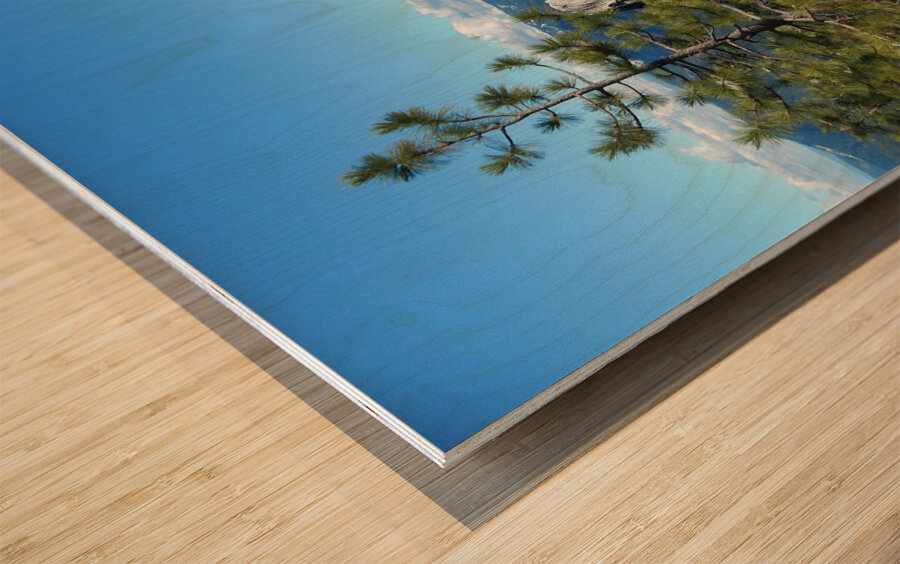 In The Crags Wood print