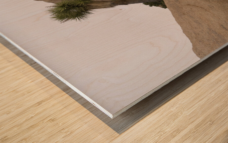 Joshua Tree Bolders Wood print