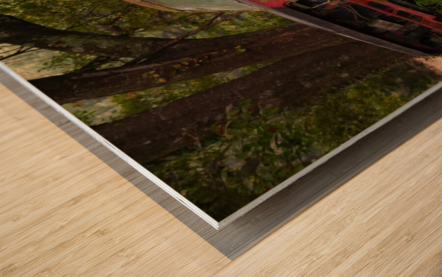 Old Bronco Wood print