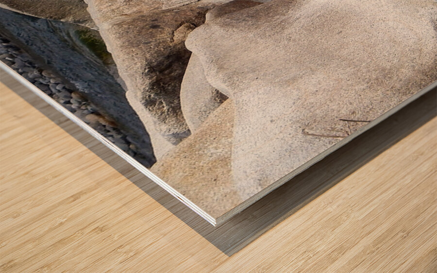 Meditation Rocks Wood print