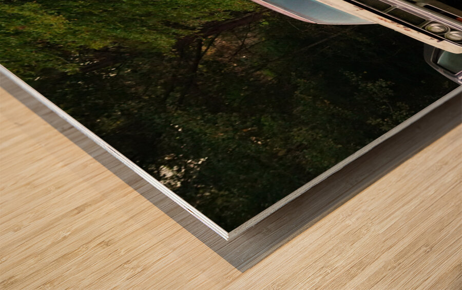 Old Cars in a Field Wood print