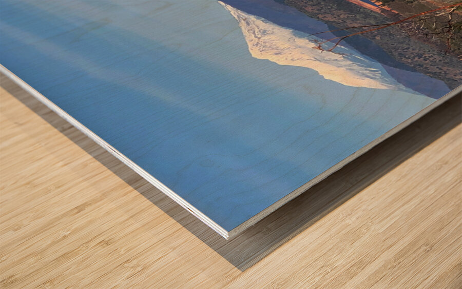 Shasta Lake Wood print