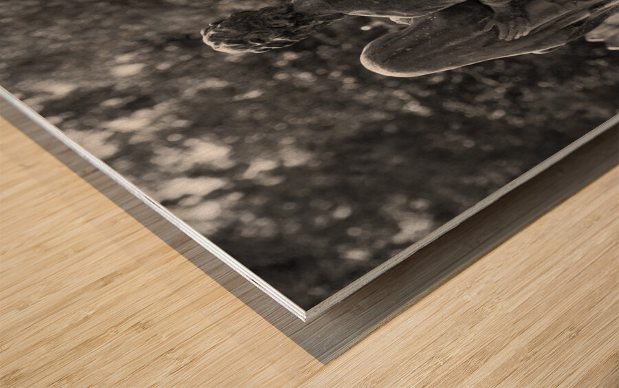 Tears of Stone Wood print