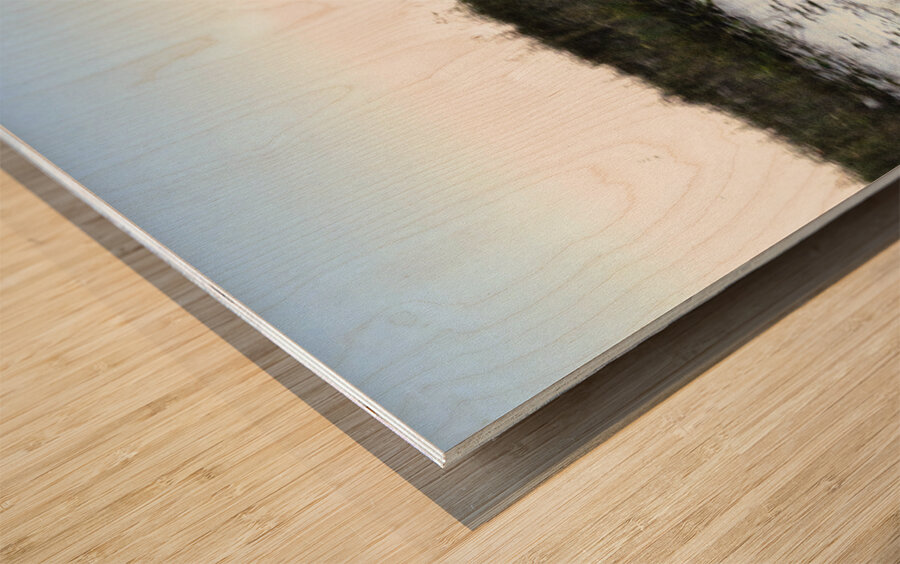 Convertible Silver Corvette Impression sur bois