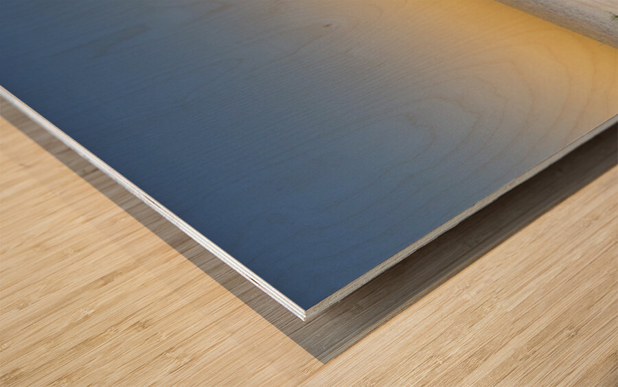 Thelma On The Beach Impression sur bois