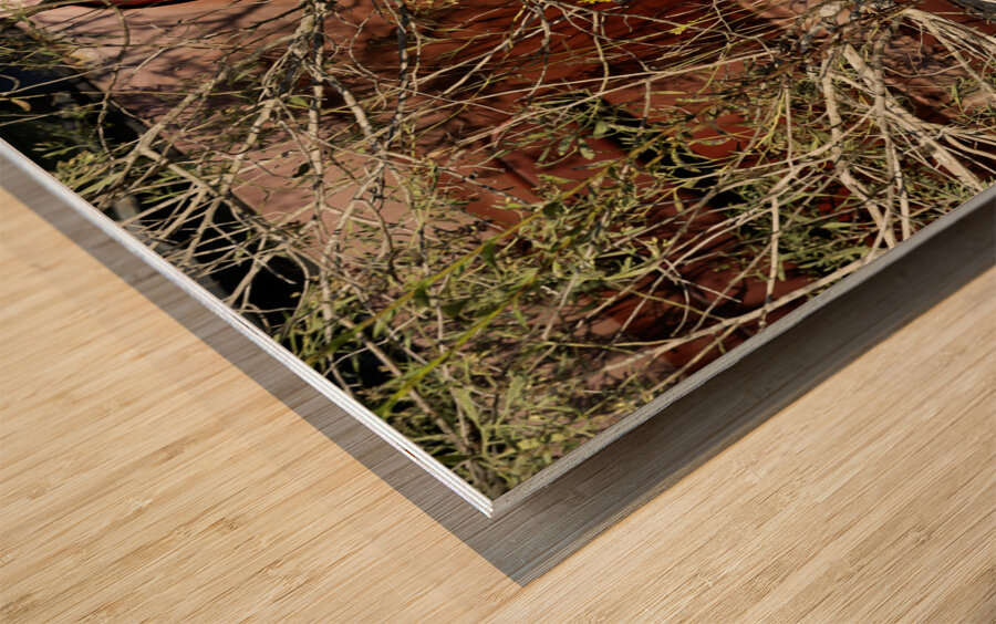 A Beautiful Bouquet Wood print