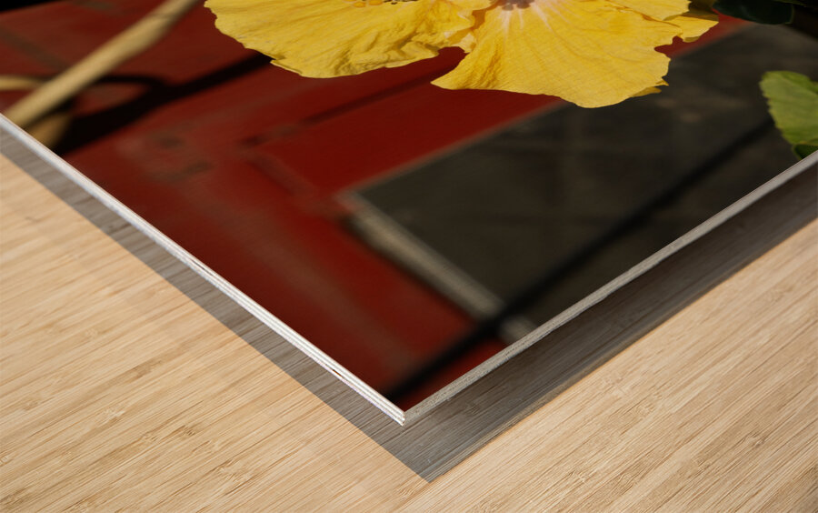 Junkyard Hibiscus Wood print