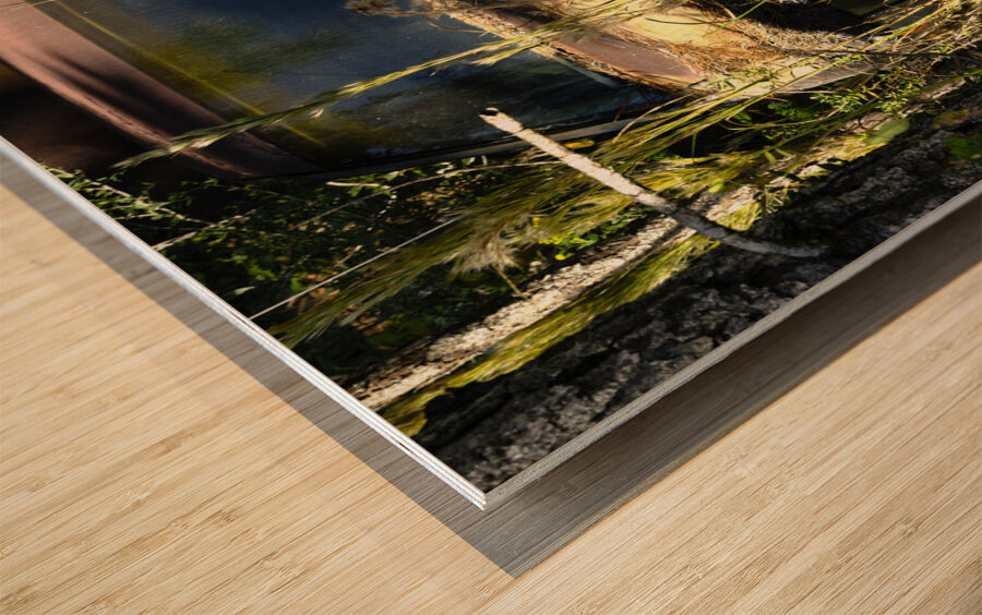 Forgotten Impression sur bois