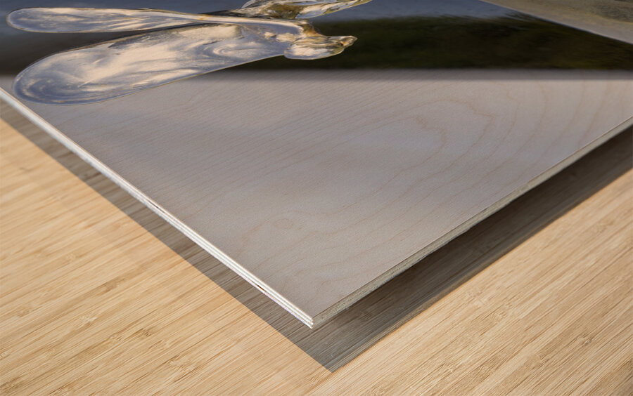 RR Hood Ornament Impression sur bois