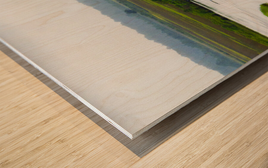 Old Saloon on the Water Wood print