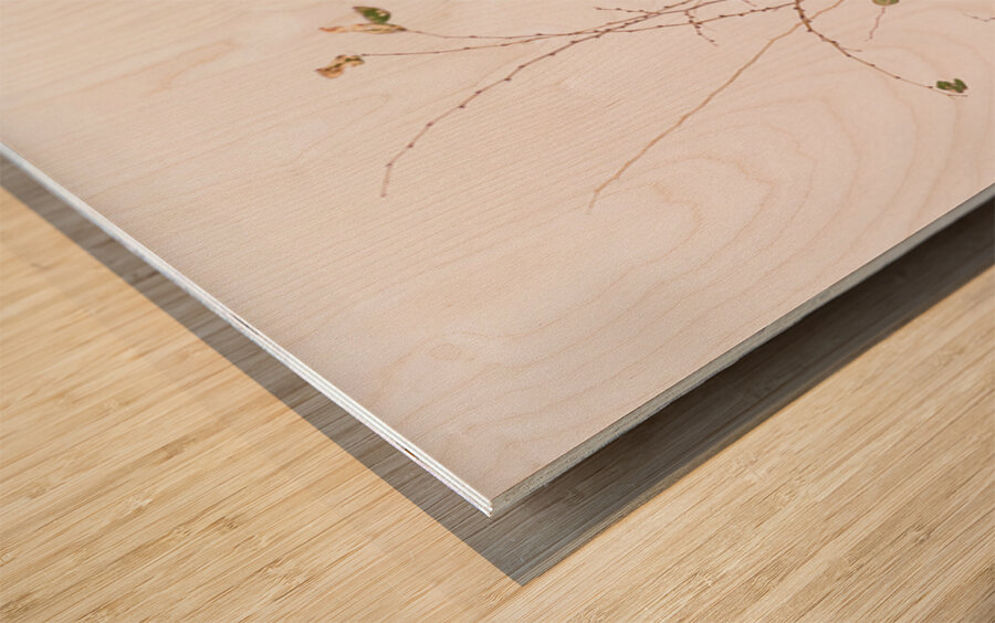 Wabi Sabi Wood print