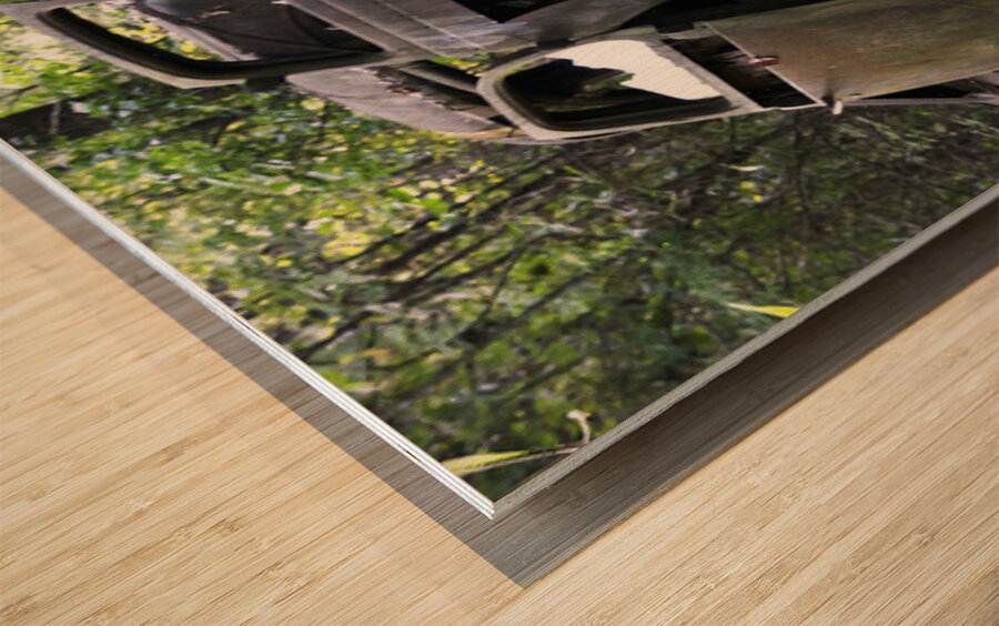 Jane and Dan s Treasure Wood print