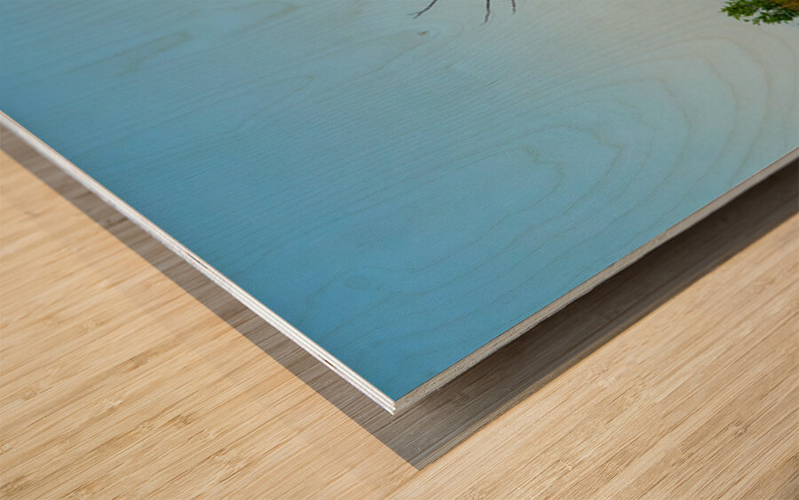 Venice LA Wood print