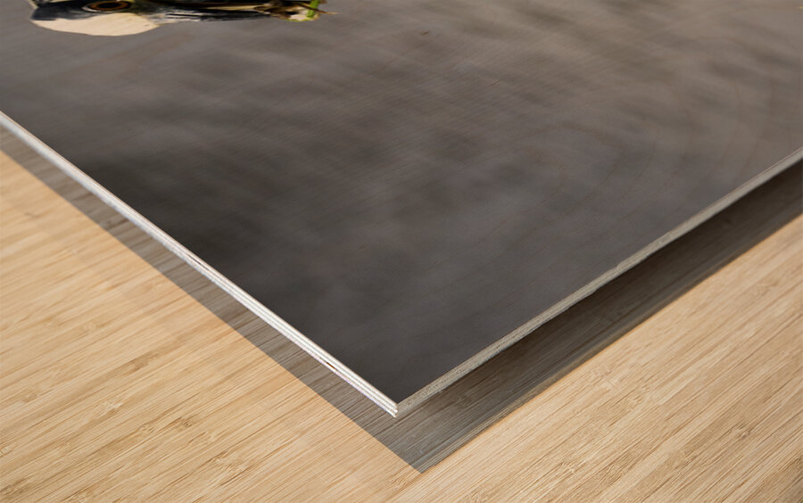 Heron s Little Snack Wood print