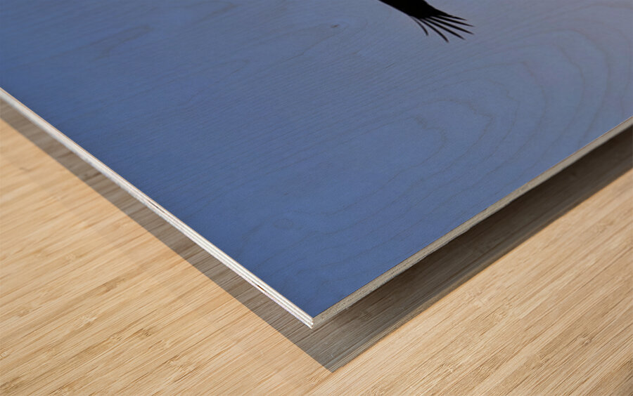 Soaring Impression sur bois