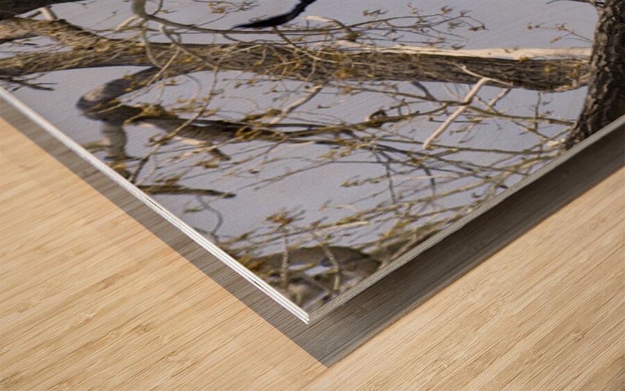 Bringing the Groceries Wood print