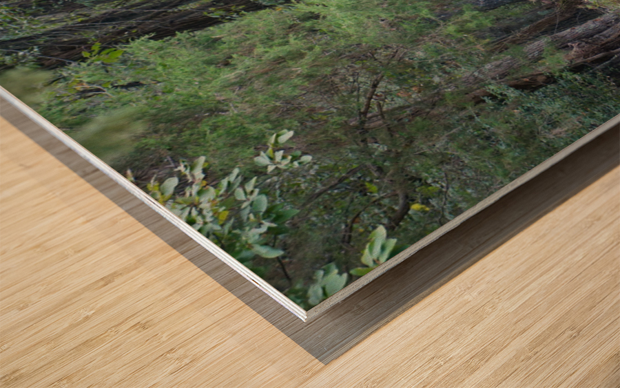 A Country Lane Wood print