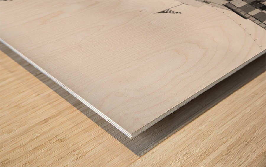 Stefano Ricci BW Wood print