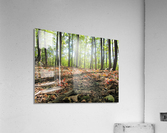 Landscape (47) Acrylic Print