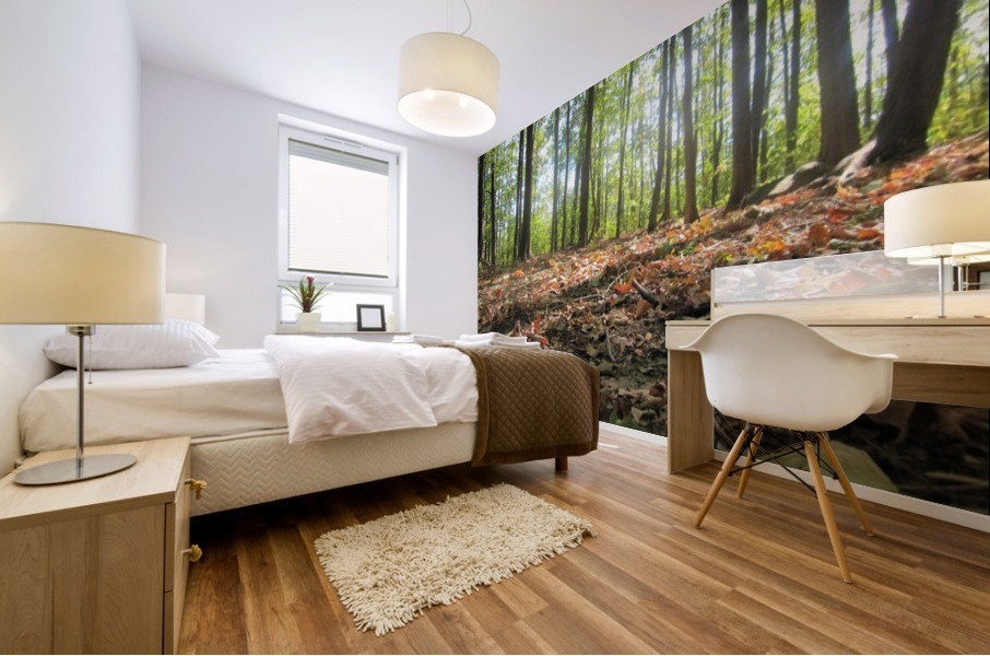 Landscape (47) Mural print