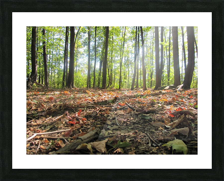 Landscape (47) Picture Frame print