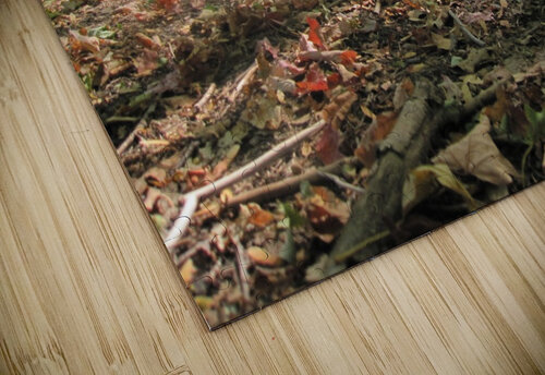 Landscape (47) NganHongTruong puzzle