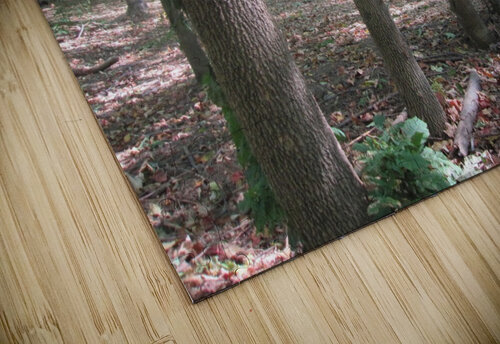 Landscape (188) NganHongTruong puzzle