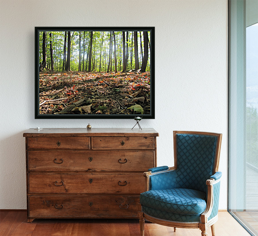 Landscape (47) Reproduction