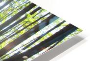 Landscape (47) HD Metal print