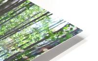 Landscape (188) HD Metal print
