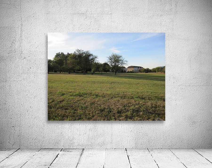 Landscape Photograph (70) Wall Preview