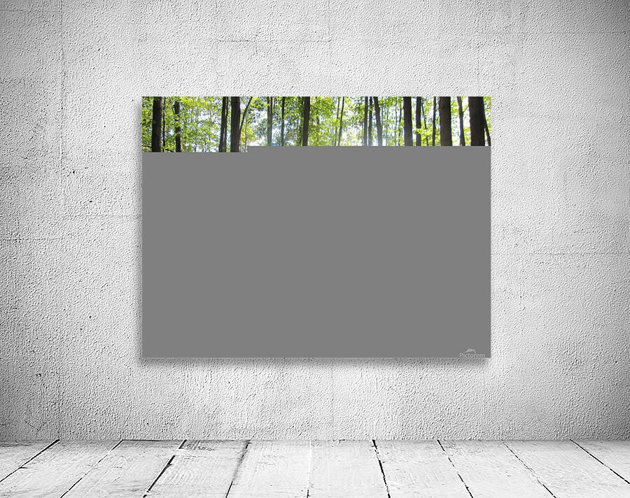 Landscape (47) Wall Preview