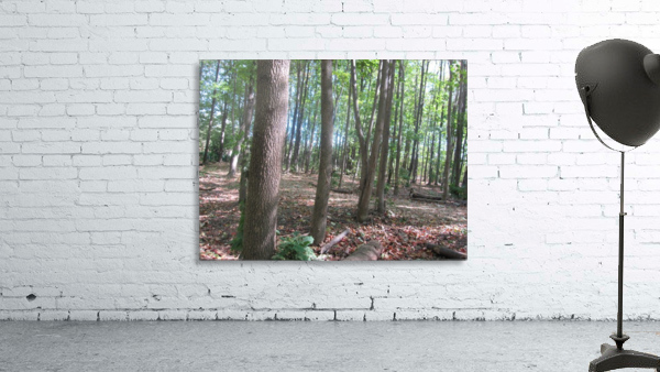 Landscape (188) Wall Preview