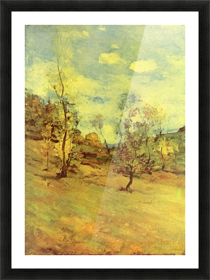 Landscape view in Posada Picture Frame print
