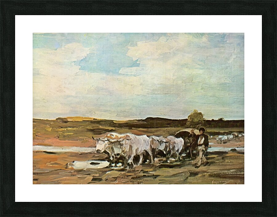 Car cu boi Picture Frame print