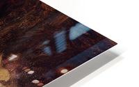 Oxen HD Metal print