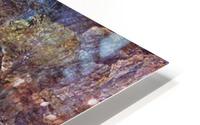 Winter or Flood HD Metal print