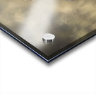 Amber Gaze Acrylic print