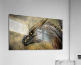 Amber Gaze Acrylic Print