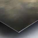 Amber Gaze Metal print