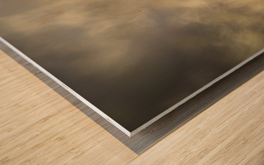 Amber Gaze Wood print